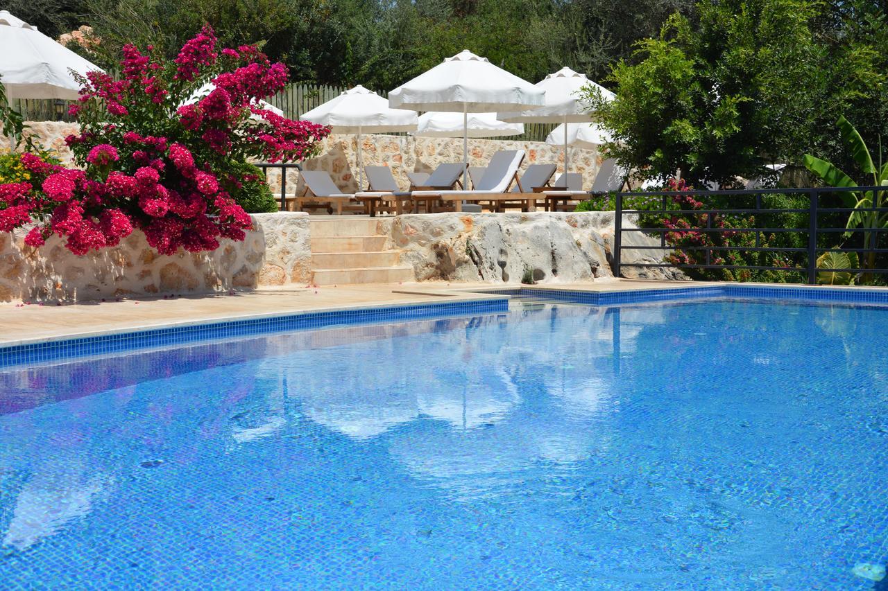 Dardanos Hotel Gelemiş Exteriör bild
