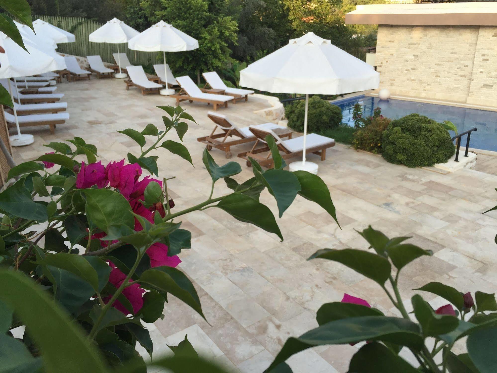 Dardanos Hotel Gelemiş Exteriör bild