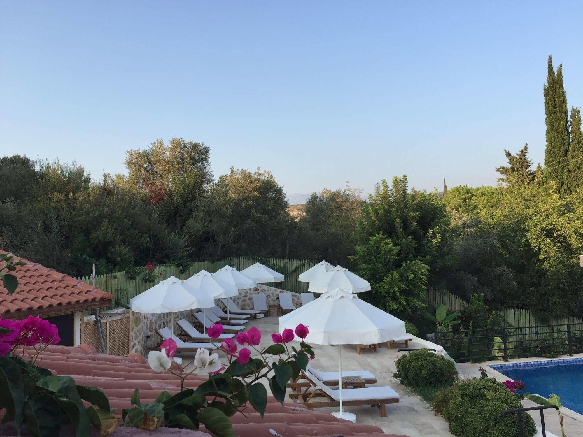 Dardanos Hotel Gelemiş Exteriör bild